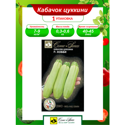 ������ ������ ������ ������� ����� F1 ������ 6�� ������ (�����) ����