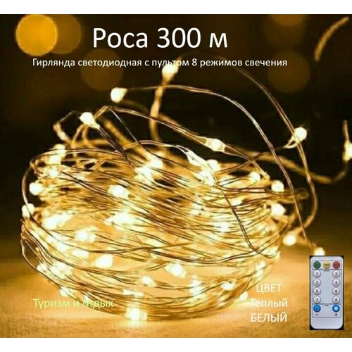 ������ ������ �������� ���� 300 � � ������� ����������, ������ ����