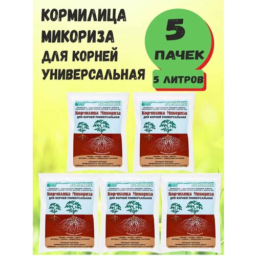 ������ ������ �����������, ��������� ��������, ���, 1 � - 5 ���� ����