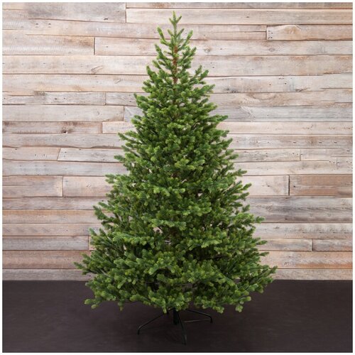 ������ ������ ��� ������������� Black Box ���� ������������� ���������, 155 �� ����