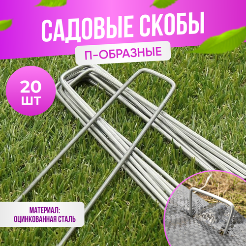 ������ ������ ����� ������� ��� ��������� ��������� ������������ �-�������� 15 � 3 �� 20 ���� ����