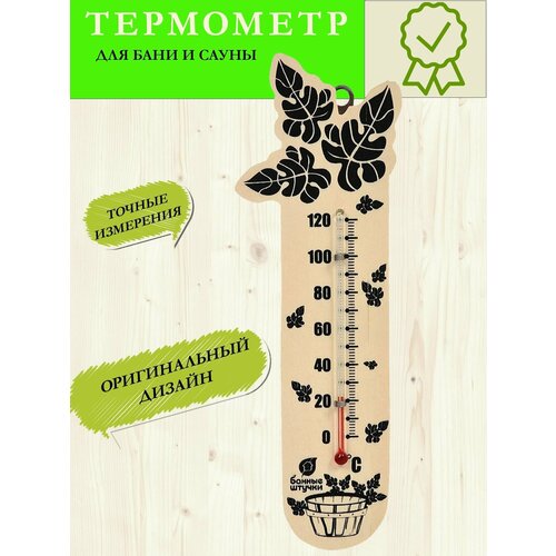 ������ ������ ��������� ��� ���� ��� ����� ����