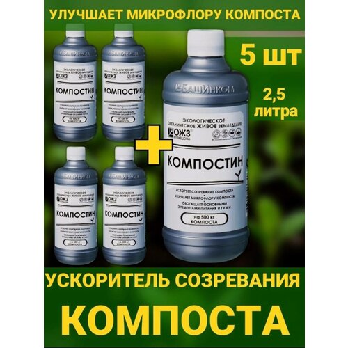 ������ ������ ���������, 2.5� ���������� ���������� �������� ����