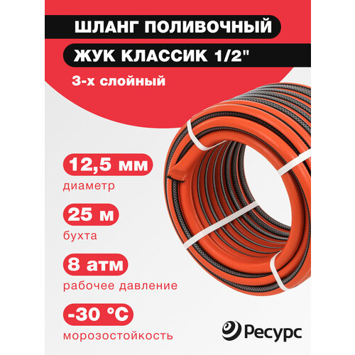 ������ ������ ����� ���������� ��� ������� 1/2