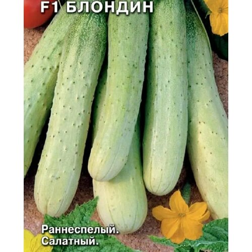 ������ ������ ������������� ������ ������ F1 ������� ����