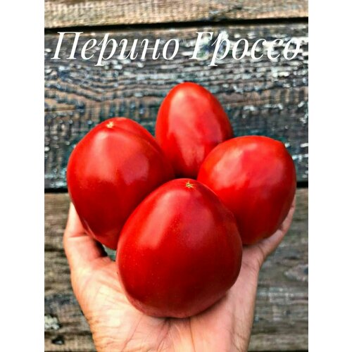 ������ ������ ������������� ������ ������ ������ ������ ����