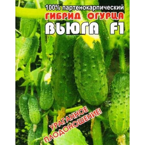 ������ ������ ������������� ������ ������ ����� F1 ����