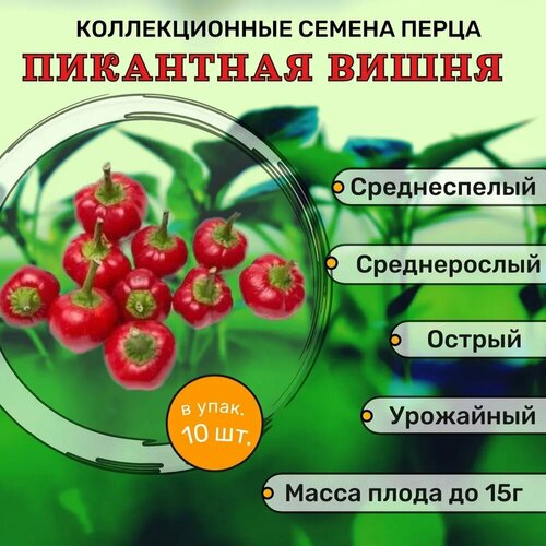 ������ ������ ������������� ������ ����� ������� ��������� ����� ����