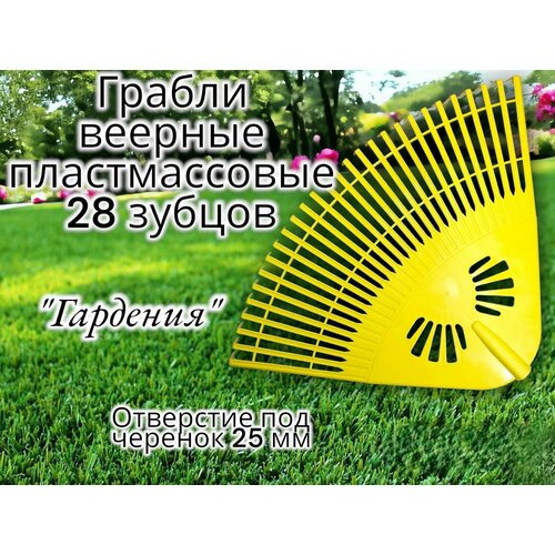 ������ ������ ������ ������� ������������� 28 ������ 