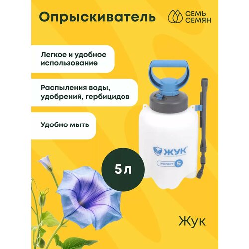 ������ ������ ������������� 