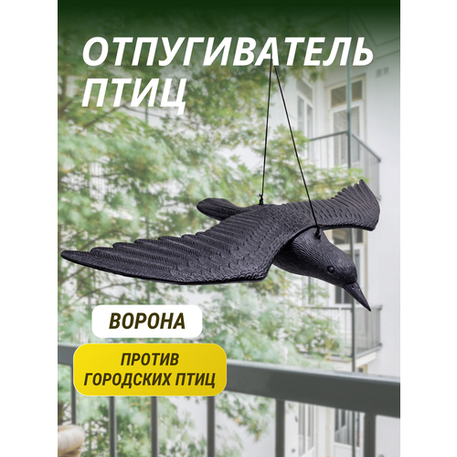 ������ ������ ������������ ���� ������ ������� ����