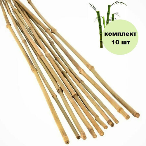 ������ ������ �����-����� ���������� ��� �������� 