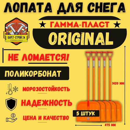 ������ ������ ������ ��� ������ ����� �� ������������� 5 ����/ ������� �������� ����