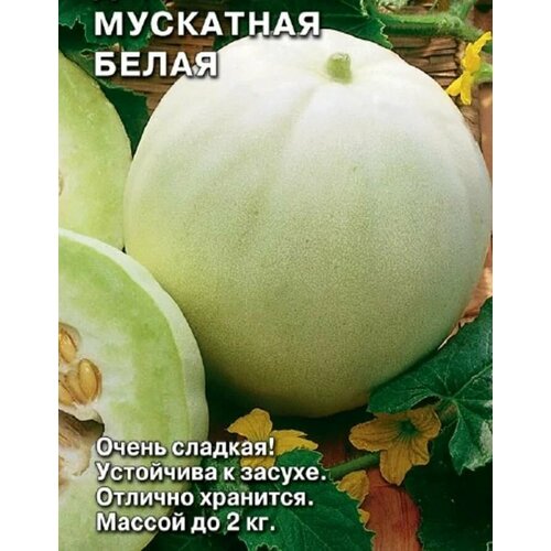 ������ ������ ������������� ������ ���� ��������� ����� ����