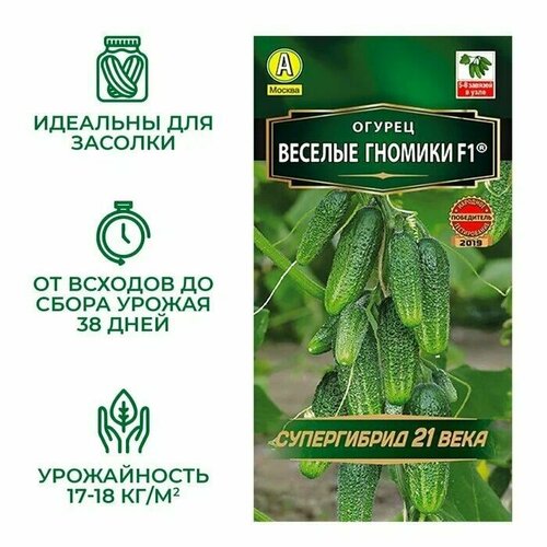 ������ ������ ������ ������ ������� ������� 10 ����� � �������� ����