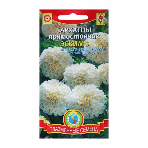 ������ ������ ������ �������� ����������� 