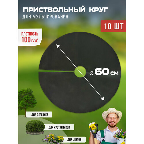 ������ ������ ������������ ���� ��� ������������� 100 ��/�2, ������� 60 ��, 10 �� ����