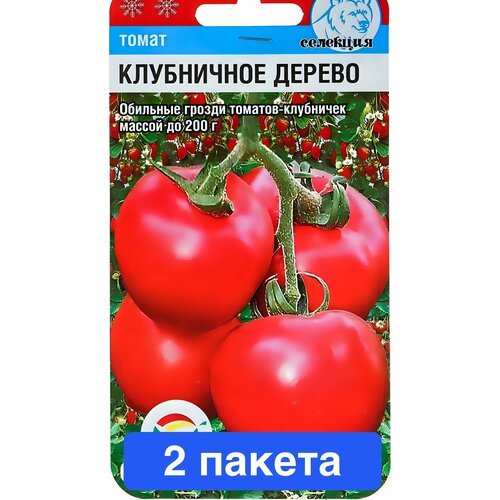 ������ ������ ������ ������ ��������� ��� 