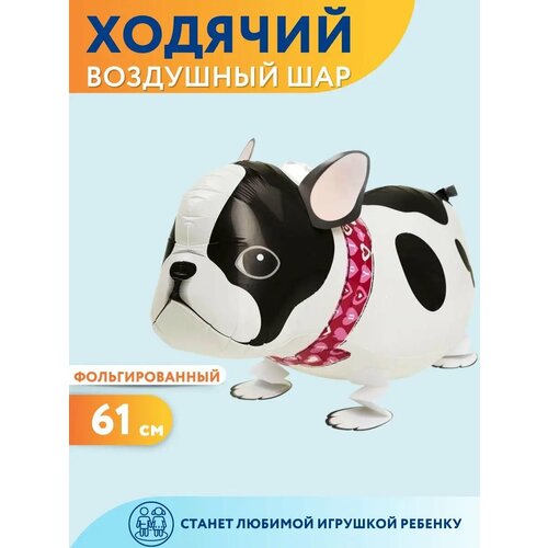 ������ ������ ��������� ��� ������� ������ ������� ����