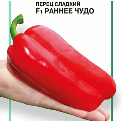 ������ ������ ������������� ������ ����� �������� ������ ���� F1 ����