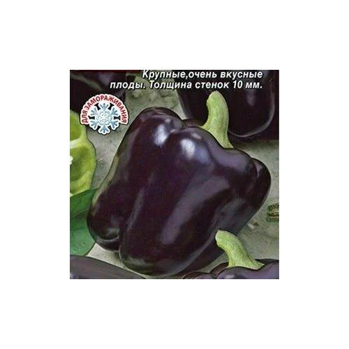 ������ ������ ������������� ������ ����� �������� ������ ���� ����