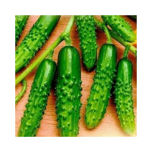 ������ ������ ������������� ������ ������ F1 ������ ����