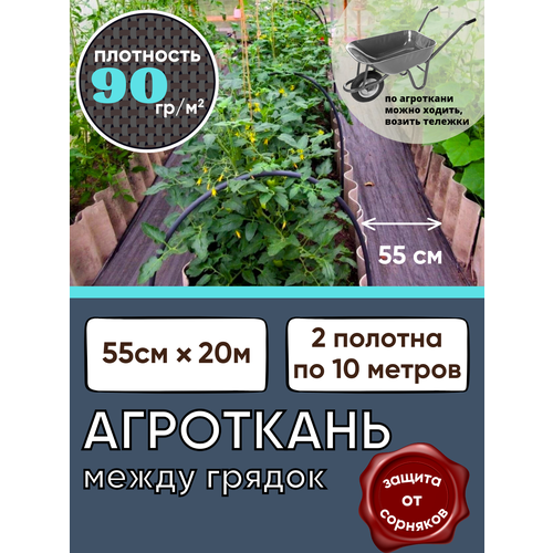 ������ ������ ��������� ����� ������, ������ 55��, ����