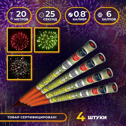 ������ ������ ������� ����� 