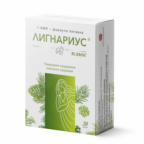 ������ ������ ��������� ���� ����. , 240 ��, 30 �, 30 ��. ����