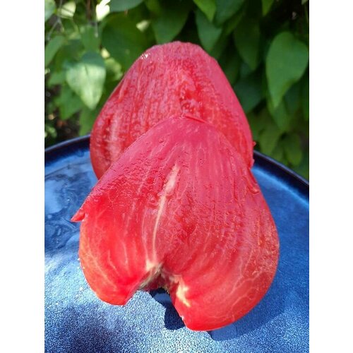 ������ ������ ������������� ������ ������ ������� ������� ����