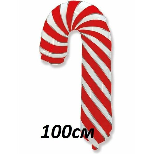 ������ ������ ��������� ���� �� ����� ��� 2025 ��� ����� �������� ���� ������ ����