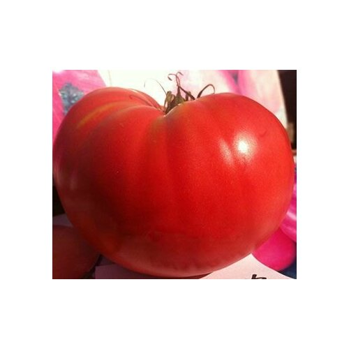 ������ ������ ������������� ������ ������ ������ ������ ����