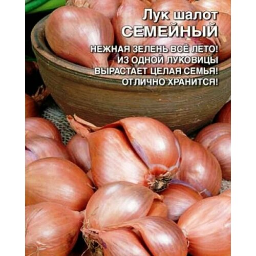 ������ ������ ������������� ������ ���� ����� �������� ����