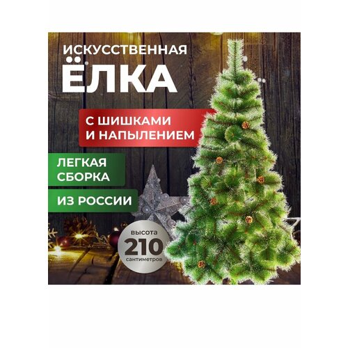 ������ ������ ������������� ���� ����� 210 �� ����