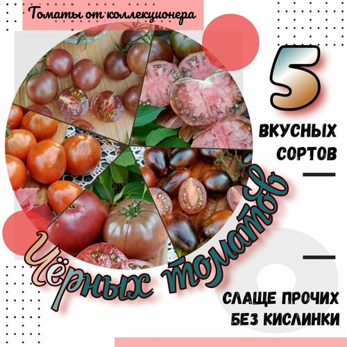 ������ ������ ������ �������, 5 ������ ������������, ����� ����� ����