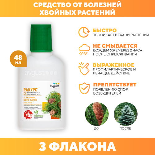 ������ ������ �������� �� �������� ������� �������� ������, Avgust 48 �� 3 �� ����