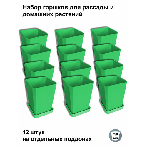 ������ ������ ������ ��� ������� � ������, 12 ���� �� ��������� ��������, ������� ����