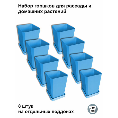 ������ ������ ������ ��� ������� � ������, 8 ���� �� ��������� ��������, ����� ����