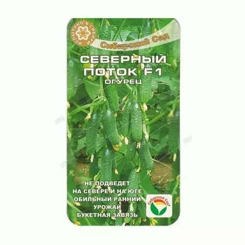 ������ ������ ������ �������� ����� F1, ������ ��������� ��� 7�� ����