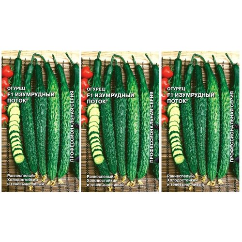 ������ ������ �����. 3 �������� * 0,2 � ������ ������ ���������� ����� F1 0,2 � (�����) ����