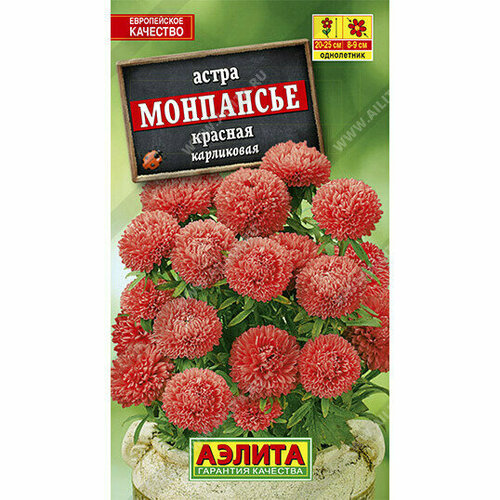 ������ ������ ������ ����� ��������� ������ 