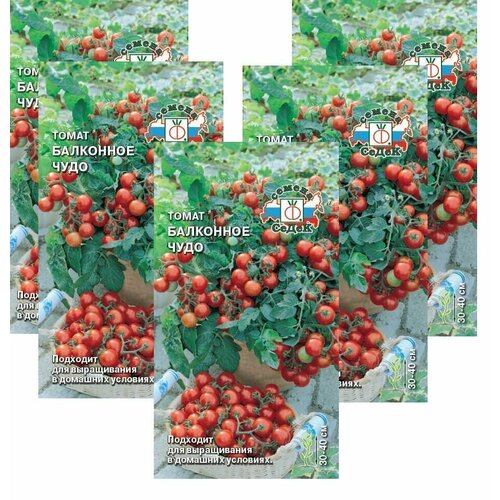 ������ ������ ������ ����� ��������� ���� 0,1 � (�����) , 5 ��������� * 0,1 � ����