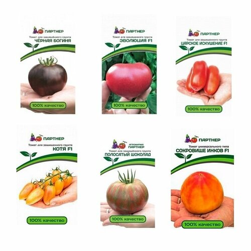 ������ ������ ����� ����� ������� ������� ��� ������� (����, ��������� �������, ��������, ��������� �����, ������� ���������, ������ ������) ����