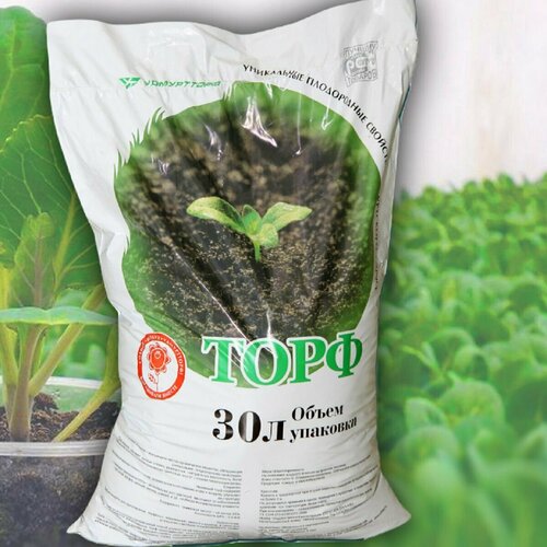 ������ ������ ���� ������� 30 � ����