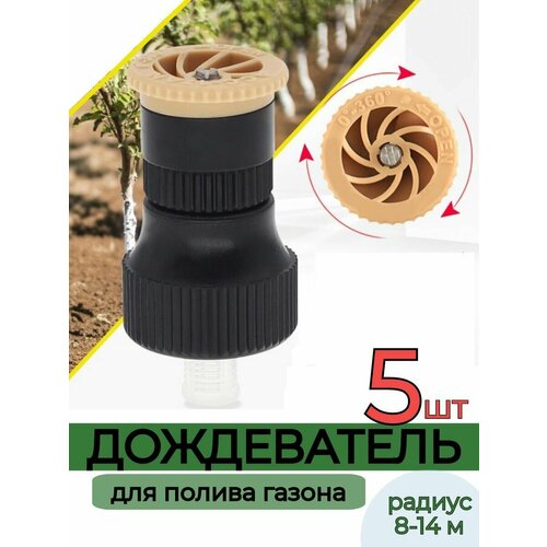 ������ ������ ����������� �������� 5 ��. ����