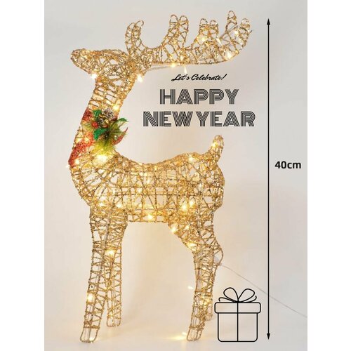 ������ ������ ���������� ����� ���� ������ 40 �� ����