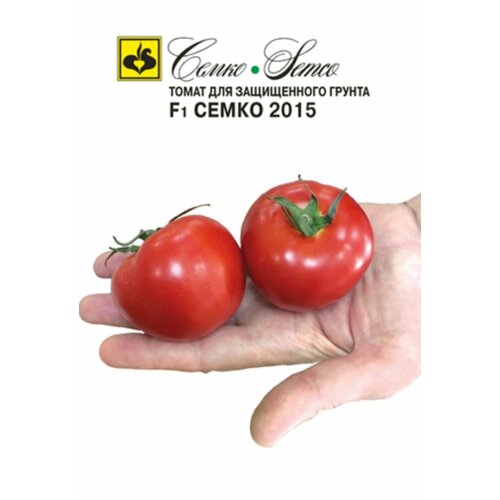 ������ ������ ������ ����� ����� 2015 F1 10�� ����� (�����) ����