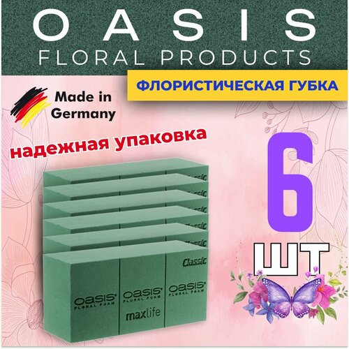 ������ ������ �������������� �����, ��� ������, �������, ����� 6 �� ����