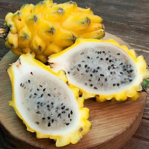         , Dragon fruit yellow 10 . 