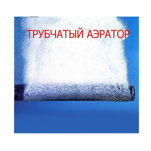 ������ ������ ������� ����������� ��������� �� �������� ��� ����� � �������, 50 �� ����